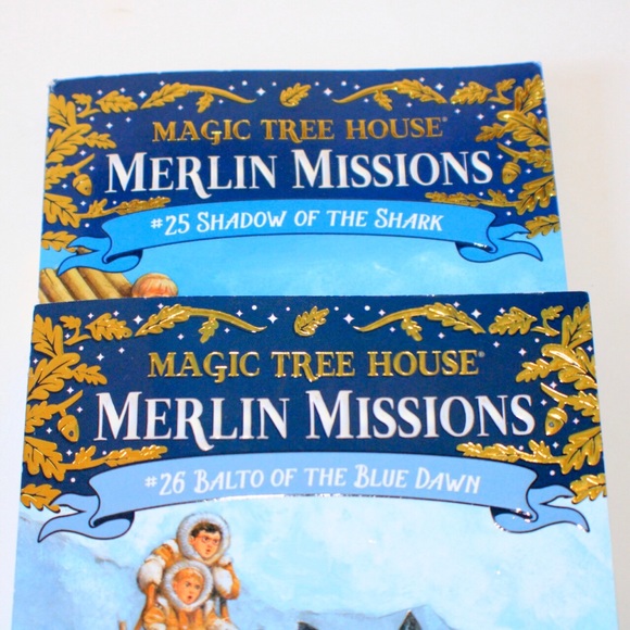 Magic Tree House Merlin Missions Book Set - Picture 7 of 10